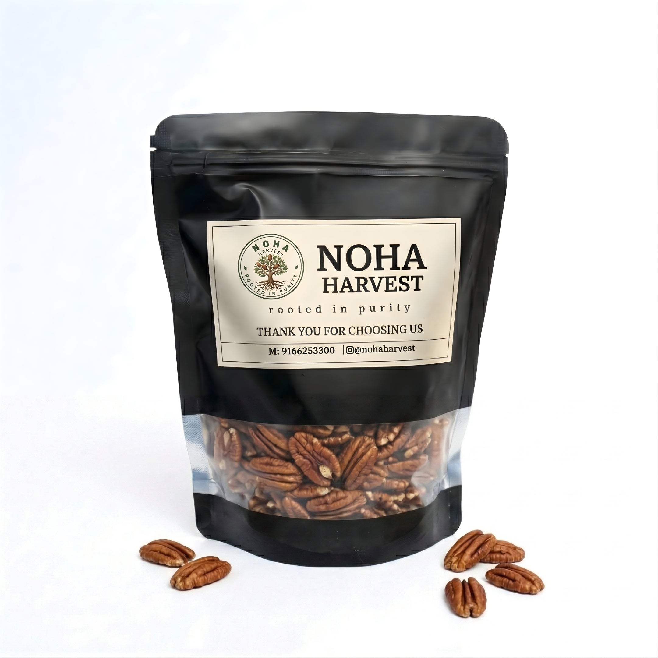 Macadamia Nuts