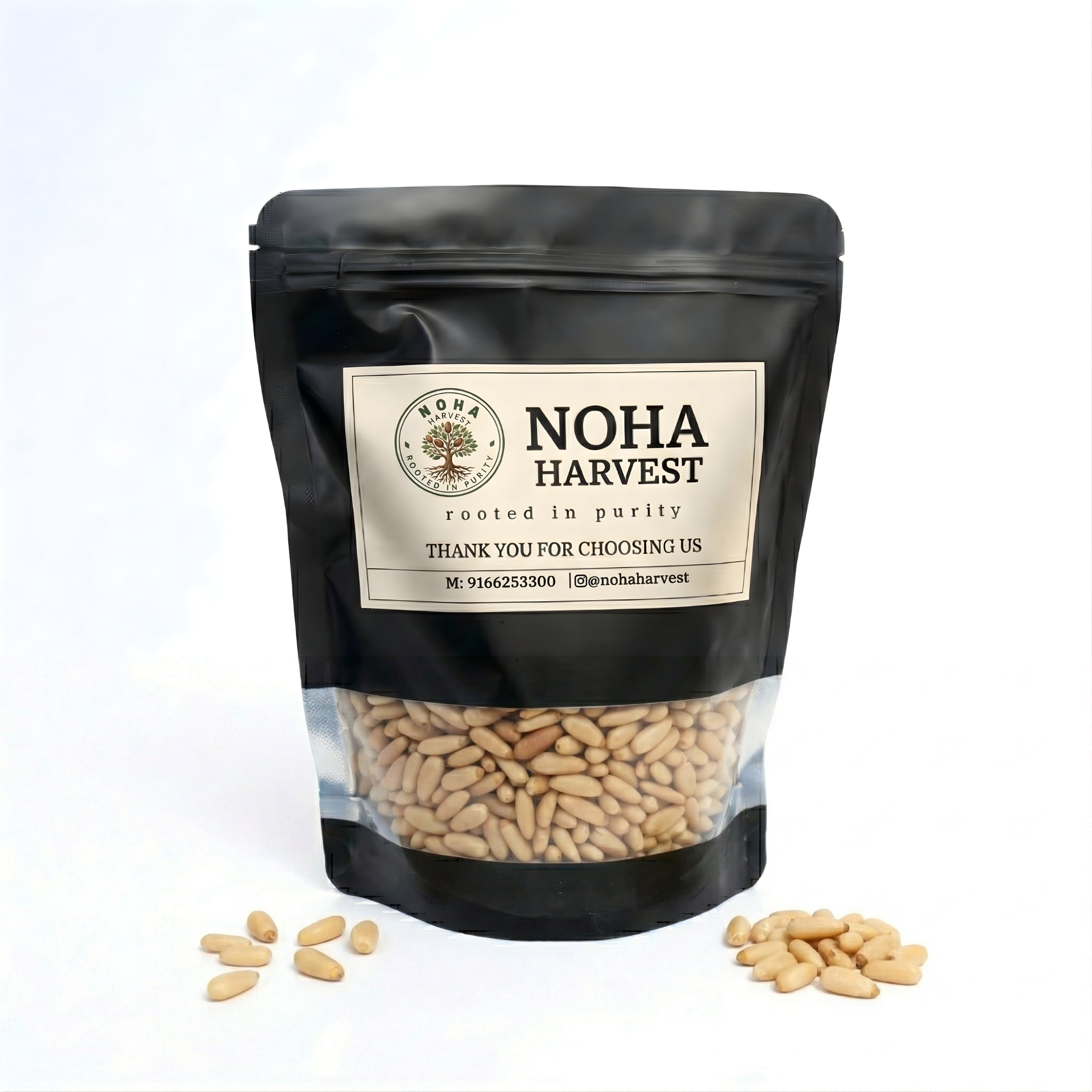 Pine Nuts (Chilgoza)